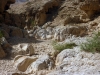 Wadi in der Negevwüste - Foto Rosindo Pamperana