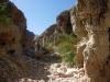 Wadi in der Negevwüste - Foto Rosindo Pamperana