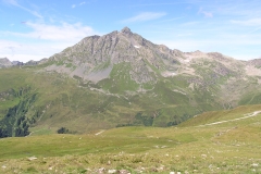 Alpenwiesen